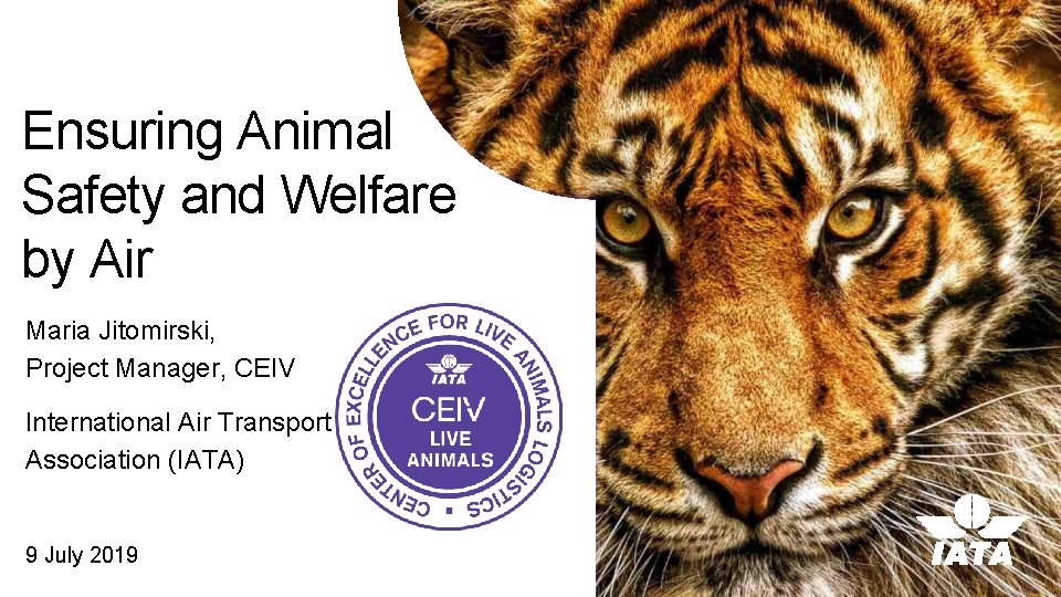 Ensuring Animal Safety and Welfare by Air Maria Jitomirski, Project Manager, CEIV International Air