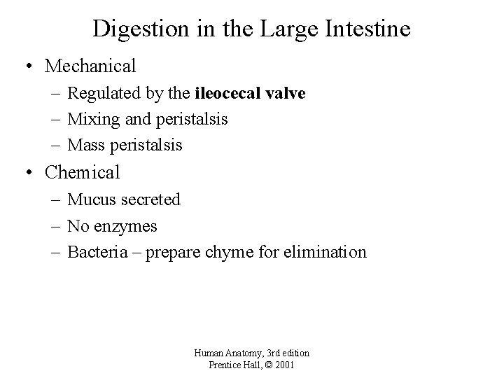 Digestion in the Large Intestine • Mechanical – Regulated by the ileocecal valve –