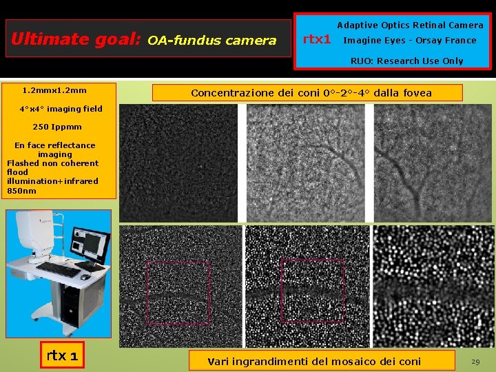 Ultimate goal: Adaptive Optics Retinal Camera OA-fundus camera rtx 1 Imagine Eyes - Orsay