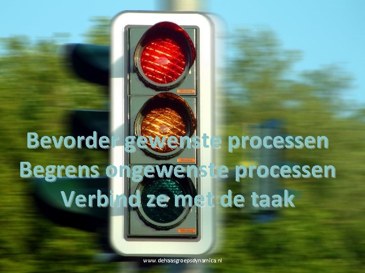 Bevorder gewenste processen Begrens ongewenste processen Verbind ze met de taak www. dehaasgroepsdynamica. nl