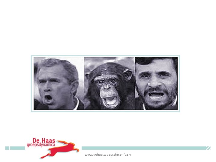 www. dehaasgroepsdynamica. nl www. dehaasgroepsdynamica. nl