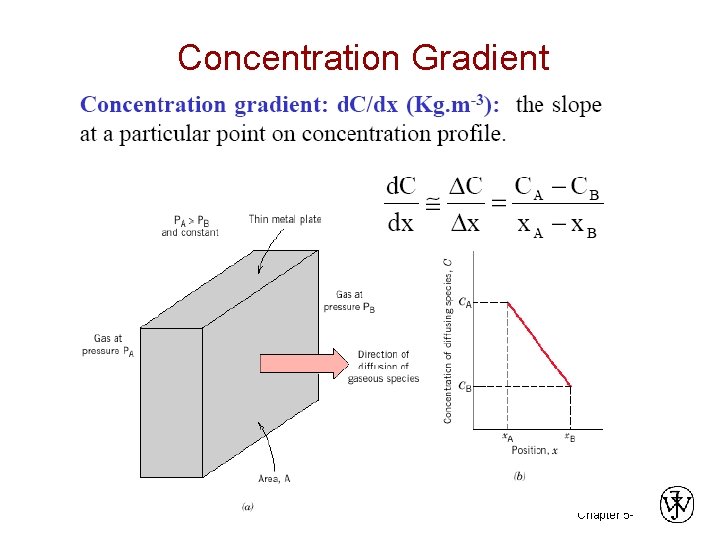 Concentration Gradient Chapter 5 - 