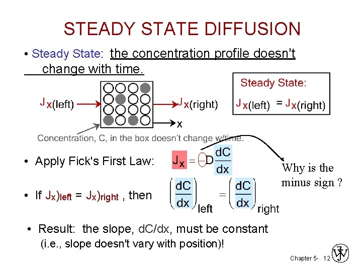 STEADY STATE DIFFUSION • Steady State: the concentration profile doesn't change with time. •