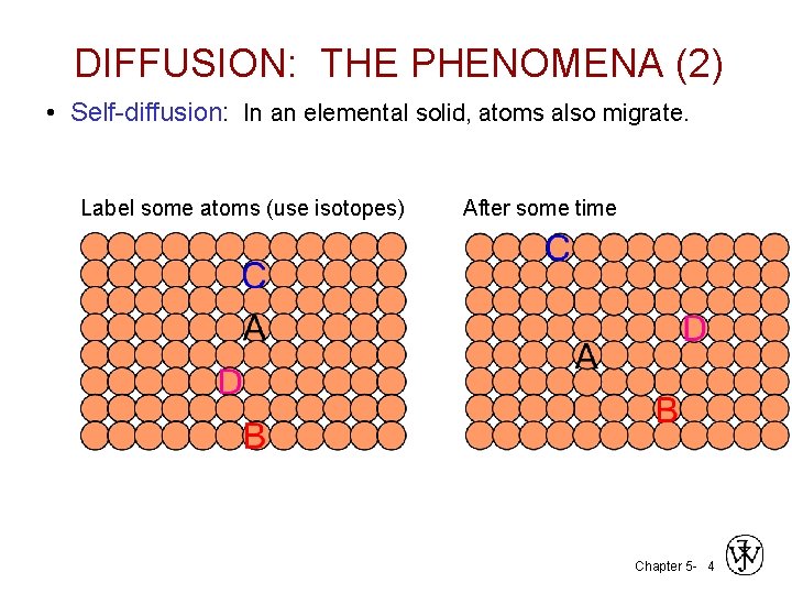 DIFFUSION: THE PHENOMENA (2) • Self-diffusion: In an elemental solid, atoms also migrate. Label