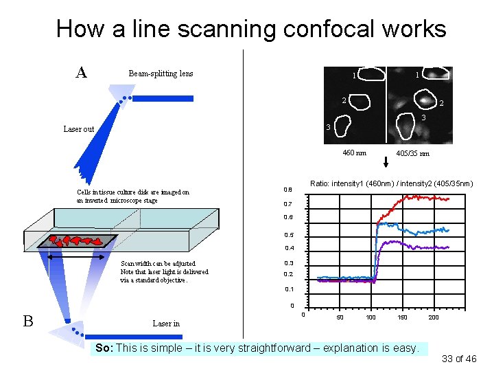 How a line scanning confocal works A Beam-splitting lens 1 1 2 2 3