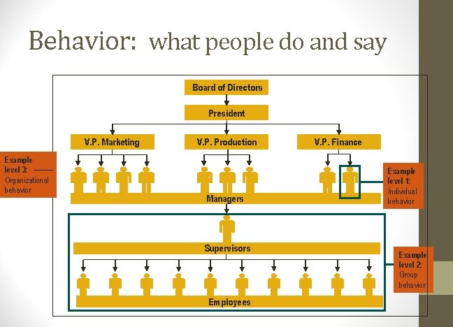 Behavior: what people do and say Board of Directors President V. P. Marketing Example