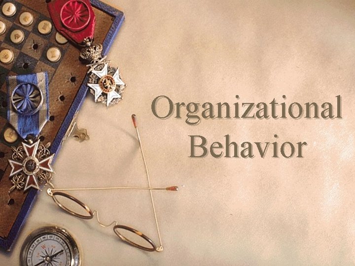 Organizational Behavior 