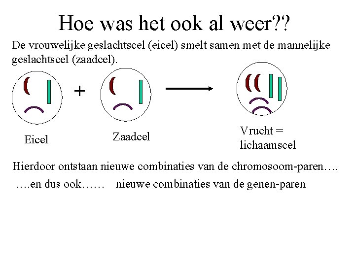 Hoe was het ook al weer? ? De vrouwelijke geslachtscel (eicel) smelt samen met