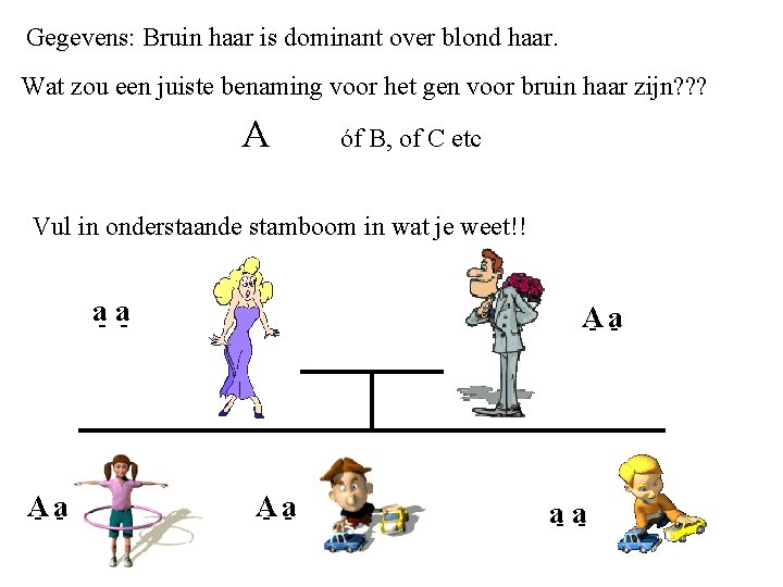 Gegevens: Bruin haar is dominant over blond haar. Wat zou een juiste benaming voor Gegevens: Bruin haar is dominant over blond haar. Wat zou een juiste benaming voor