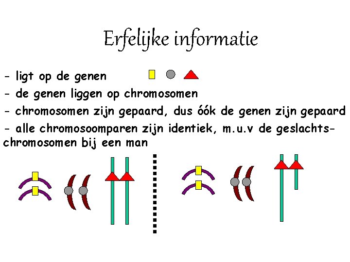 Erfelijke informatie - ligt op de genen - de genen liggen op chromosomen -