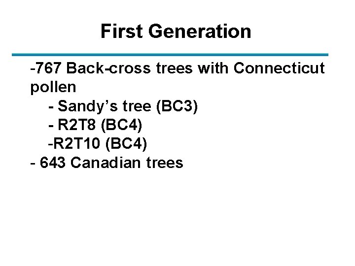 First Generation -767 Back-cross trees with Connecticut pollen - Sandy’s tree (BC 3) -
