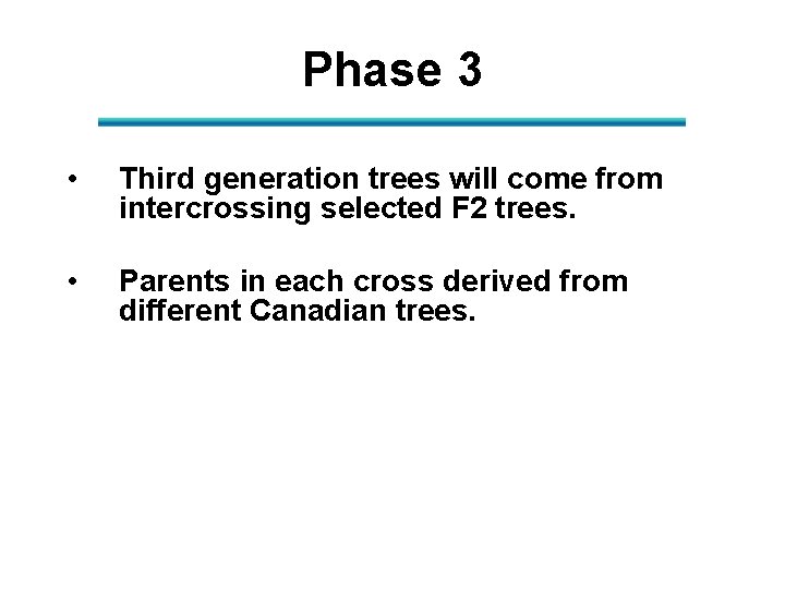 Phase 3 • Third generation trees will come from intercrossing selected F 2 trees.