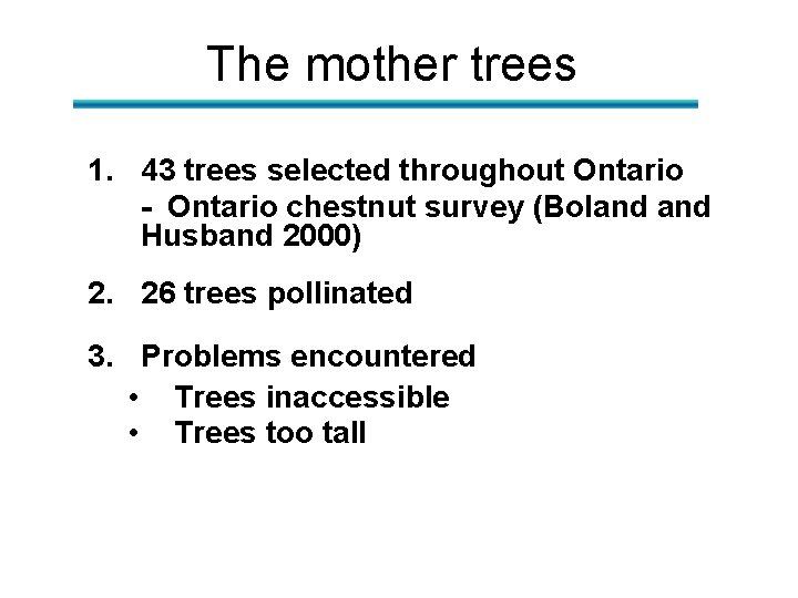 The mother trees 1. 43 trees selected throughout Ontario - Ontario chestnut survey (Boland