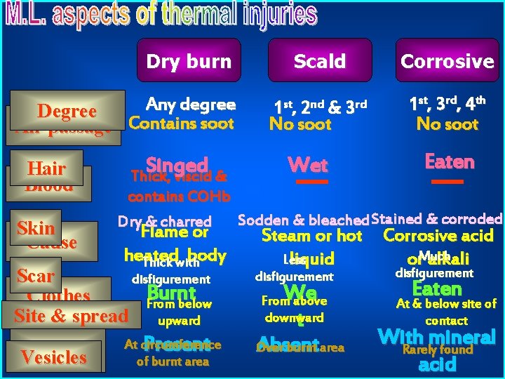Dry burn Any degree Degree Air passage Contains soot Hair Blood Skin Cause Singed