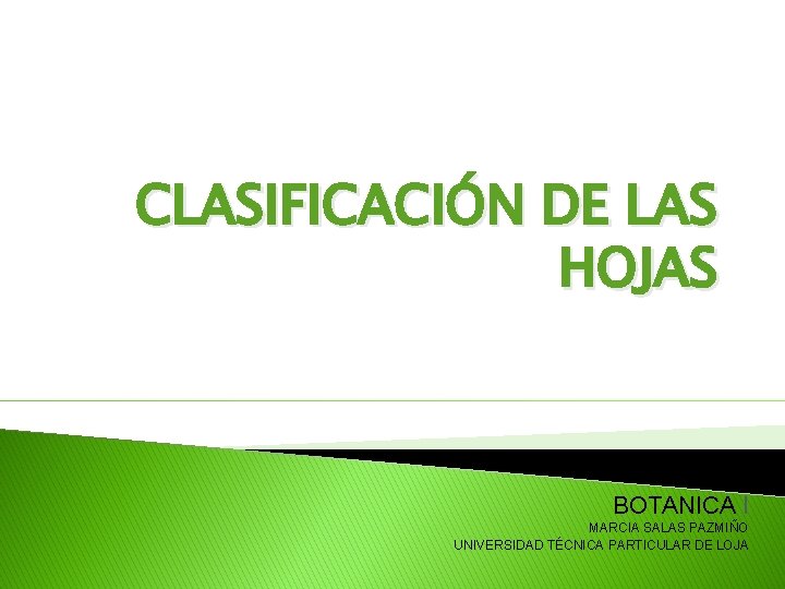 CLASIFICACIÓN DE LAS HOJAS BOTANICA I MARCIA SALAS PAZMIÑO UNIVERSIDAD TÉCNICA PARTICULAR DE LOJA