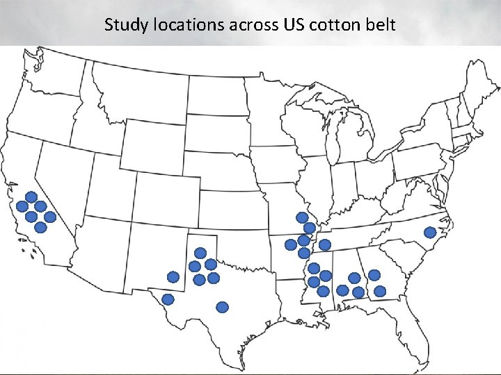 Study locations across US cotton belt Study locations across US cotton belt