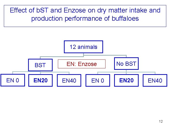Effect of b. ST and Enzose on dry matter intake and production performance of