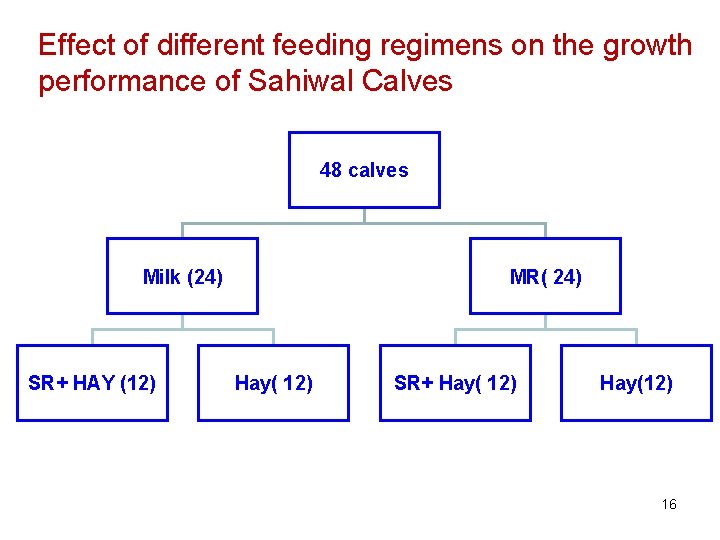 Effect of different feeding regimens on the growth performance of Sahiwal Calves 48 calves