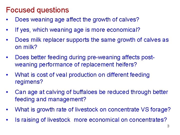 Focused questions • Does weaning age affect the growth of calves? • If yes,