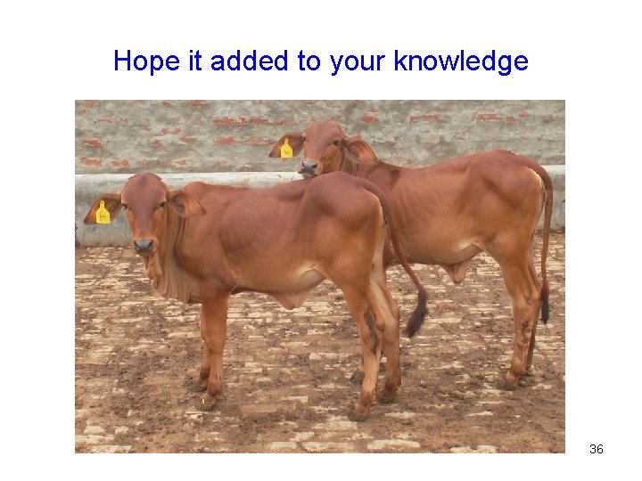 Hope it added to your knowledge 36 