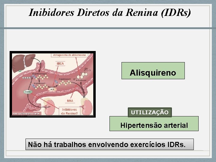 Inibidores Diretos da Renina (IDRs) Alisquireno UTILIZAÇÃO Hipertensão arterial Não há trabalhos envolvendo exercícios