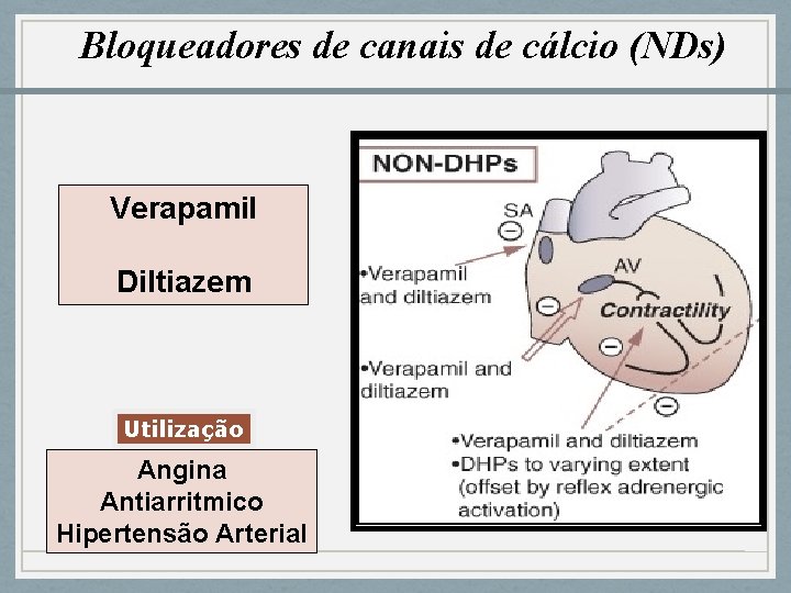 Bloqueadores de canais de cálcio (NDs) Verapamil Diltiazem Utilização Angina Antiarritmico Hipertensão Arterial 