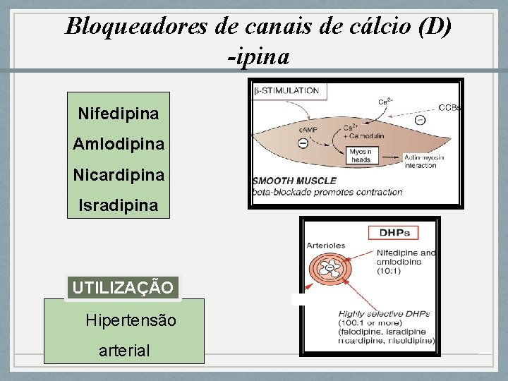 Bloqueadores de canais de cálcio (D) -ipina Nifedipina Amlodipina Nicardipina Isradipina UTILIZAÇÃO Hipertensão arterial