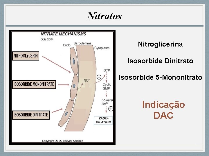 Nitratos Nitroglicerina Isosorbide Dinitrato Isosorbide 5 -Mononitrato Indicação DAC 