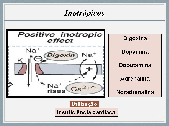 Inotrópicos Digoxina Dopamina Dobutamina Adrenalina Noradrenalina Utilização Insuficiência cardíaca 