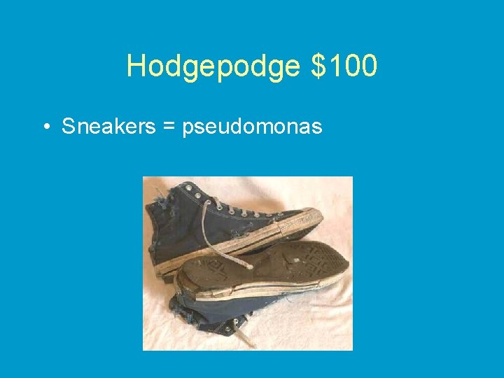 Hodgepodge $100 • Sneakers = pseudomonas 