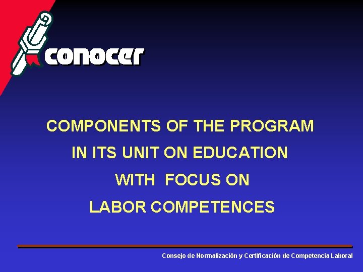 COMPONENTS OF THE PROGRAM IN ITS UNIT ON EDUCATION WITH FOCUS ON LABOR COMPETENCES