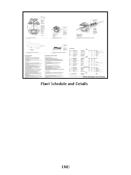 Plant Schedule and Details END 