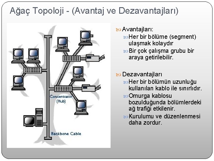 Ağaç Topoloji - (Avantaj ve Dezavantajları) Avantajları: Her bir bölüme (segment) ulaşmak kolaydır Bir