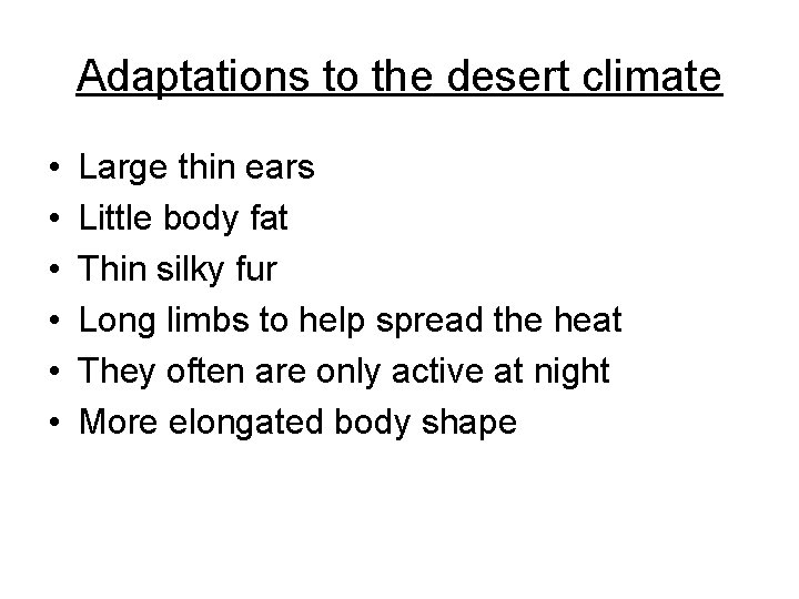 Adaptations to the desert climate • • • Large thin ears Little body fat