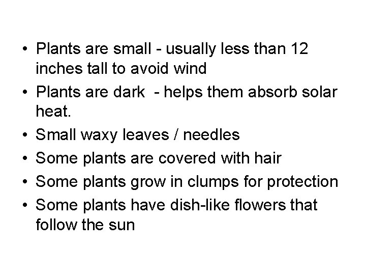  • Plants are small - usually less than 12 inches tall to avoid