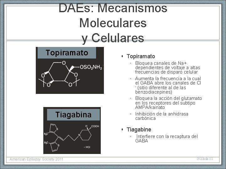 DAEs: Mecanismos Moleculares y Celulares Topiramato Tiagabina Topiramato • Bloquea canales de Na+ dependientes
