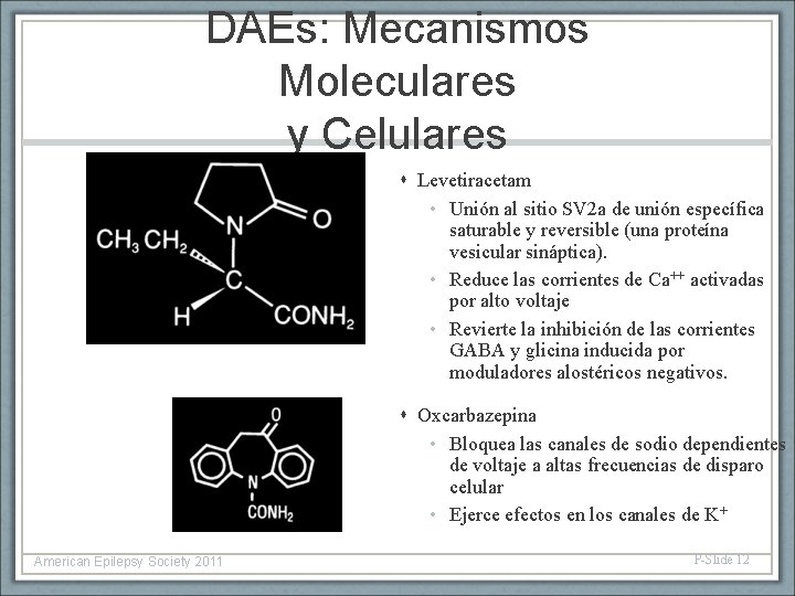 DAEs: Mecanismos Moleculares y Celulares Levetiracetam • Unión al sitio SV 2 a de