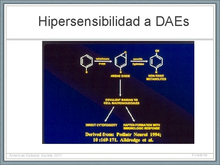 Hipersensibilidad a DAEs American Epilepsy Society 2011 P-Slide 66 