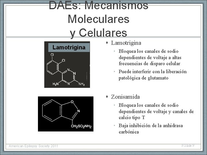 DAEs: Mecanismos Moleculares y Celulares Lamotrigina • Bloquea los canales de sodio dependientes de