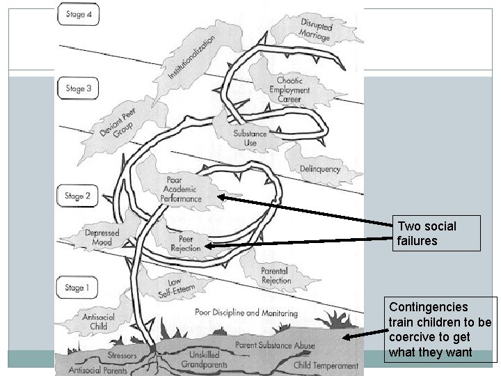 Course of Child-onset Patterson’s Vile Weed Two social failures Contingencies train children to be