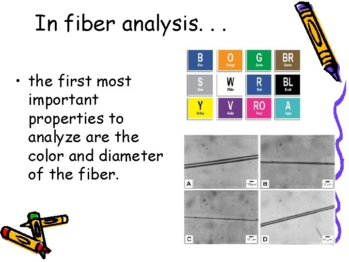 In fiber analysis. . . • the first most important properties to analyze are