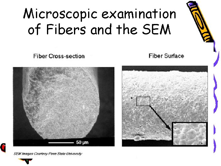 Microscopic examination of Fibers and the SEM 