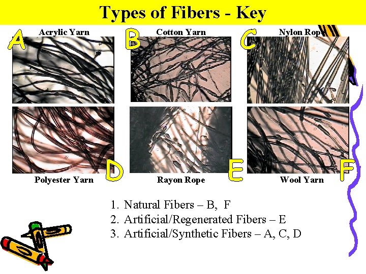 A Types of Fibers - Key Acrylic Yarn Polyester Yarn B D Cotton Yarn