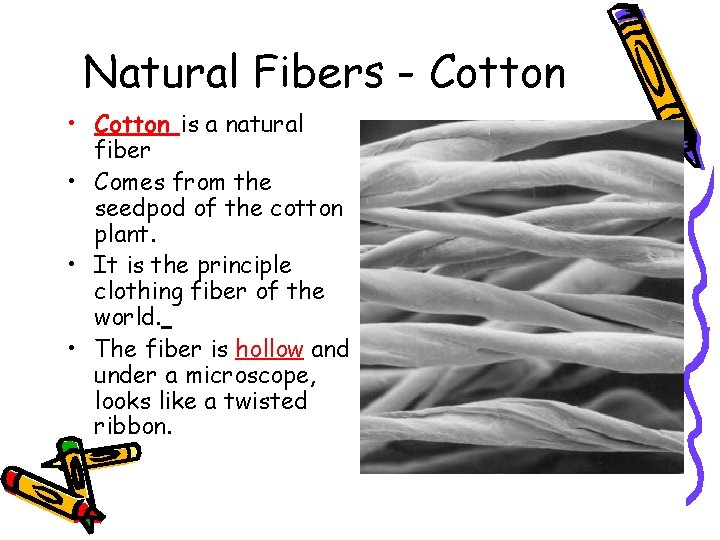 Natural Fibers - Cotton • Cotton is a natural fiber • Comes from the