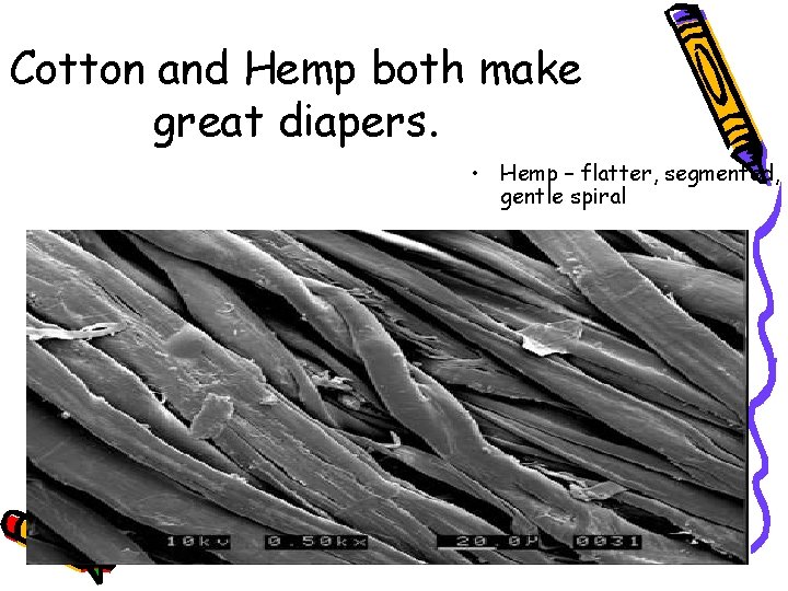 Cotton and Hemp both make great diapers. • Hemp – flatter, segmented, gentle spiral