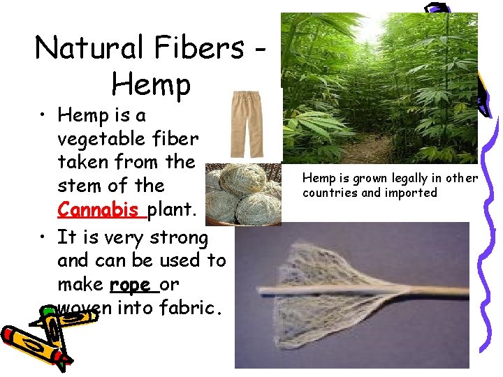 Natural Fibers Hemp • Hemp is a vegetable fiber taken from the stem of