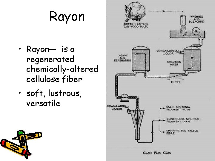Rayon • Rayon— is a regenerated chemically-altered cellulose fiber • soft, lustrous, versatile 
