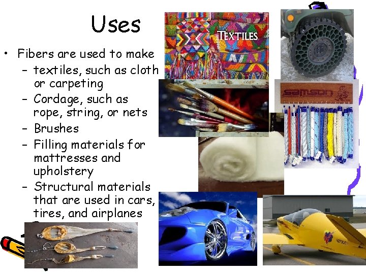 Uses • Fibers are used to make – textiles, such as cloth or carpeting