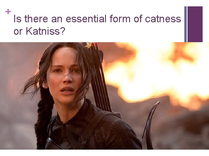 + Is there an essential form of catness or Katniss? 