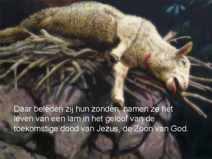 Daar beleden zij hun zonden, namen ze het leven van een lam in het
